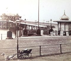 CDV.-Hastings-Pier-and-goat-cart.-1880.